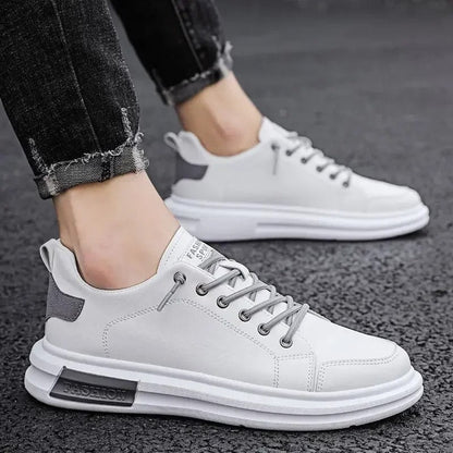gid://shopify/MediaImage/24692163838046