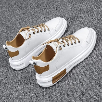 gid://shopify/MediaImage/24692163903582
