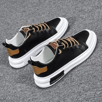 gid://shopify/MediaImage/24692163969118