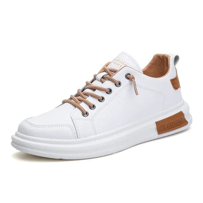 gid://shopify/MediaImage/24692164001886