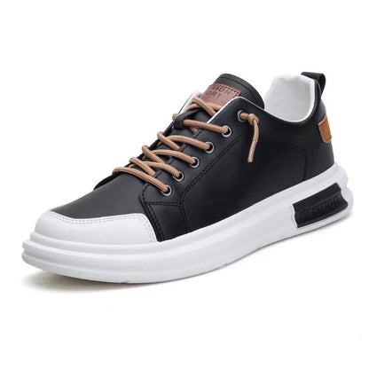 gid://shopify/MediaImage/24692164067422